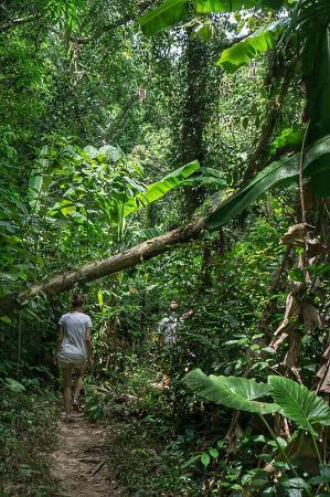 Khao Mai Kaew-grottan